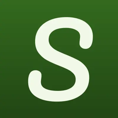 San Auto, автомастерская, лого-визитка